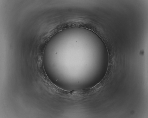 X0000111831109200907301313