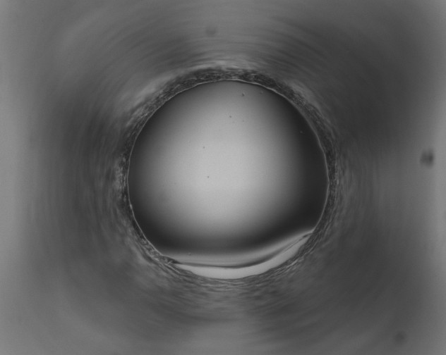 X0000111831110200907301313