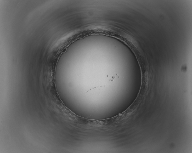 X0000111831111200907301313