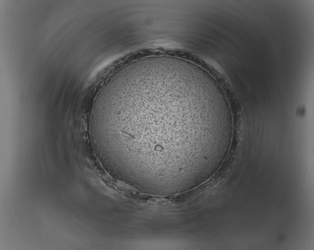 X0000111831112200907301313