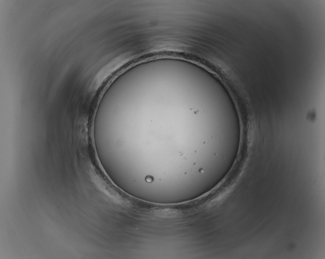 X0000111831113200907301313