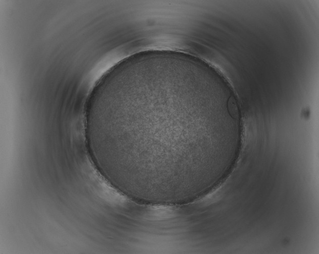 X0000111831114200907301313