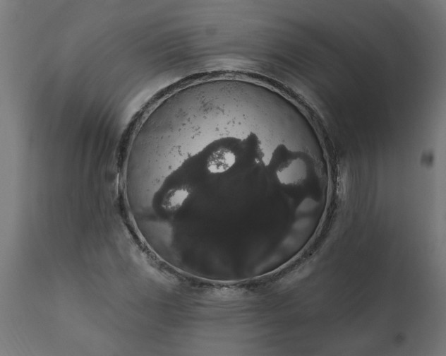 X0000111831117200907301313