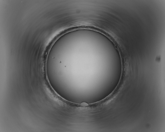 X0000111831118200907301313
