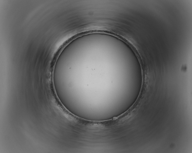 X0000111831119200907301313