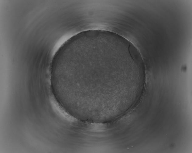 X0000111831120200907301313