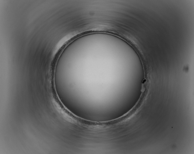 X0000111831122200907301313