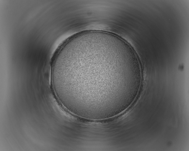 X0000111831123200907301313