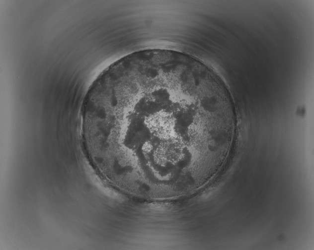 X0000111831125200907301313