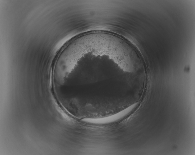 X0000111831127200907301313