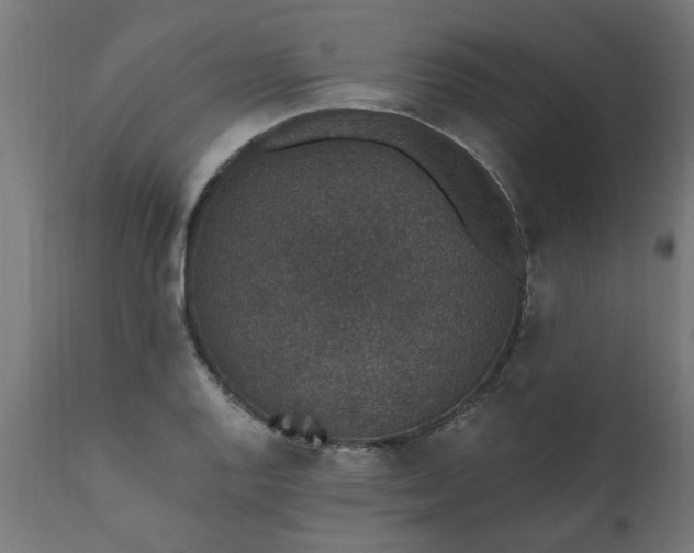 X0000111831128200907301313