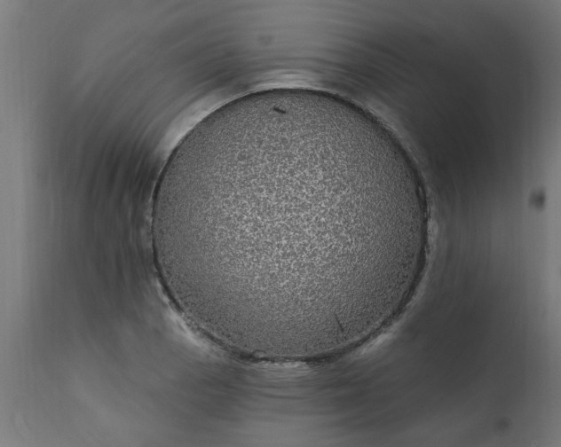 X0000111831129200907301313