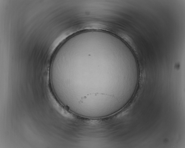 X0000111831130200907301313
