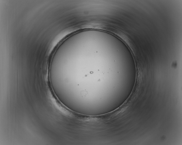 X0000111831131200907301313