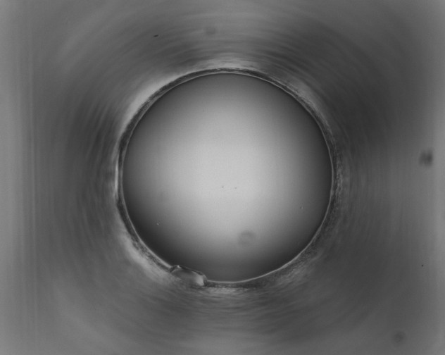 X0000111831132200907301313