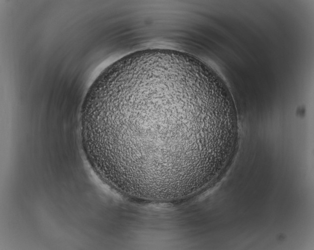 X0000111831133200907301313