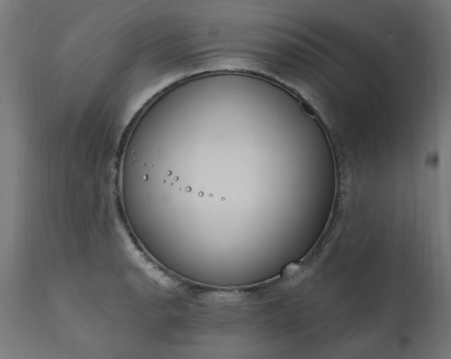 X0000111831134200907301313