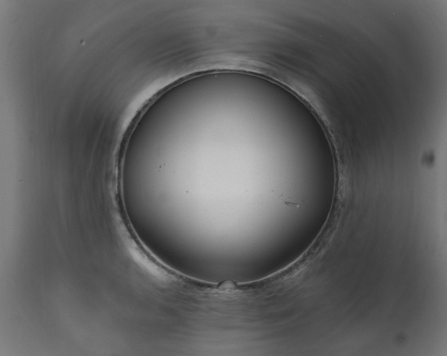 X0000111831136200907301313