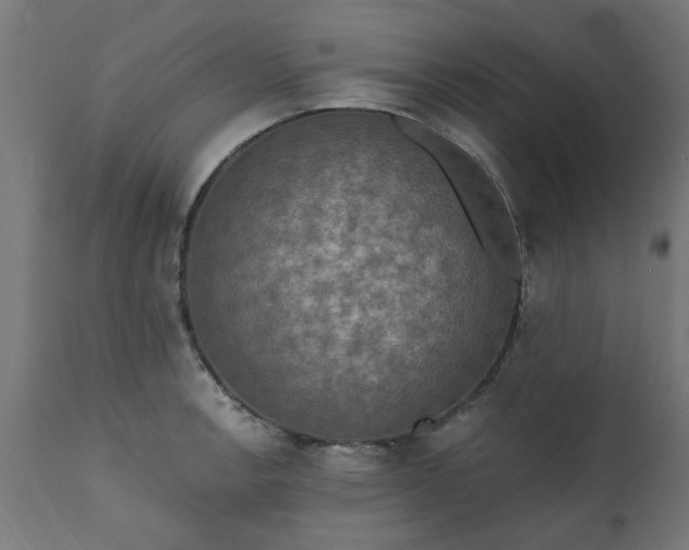 X0000111831138200907301313