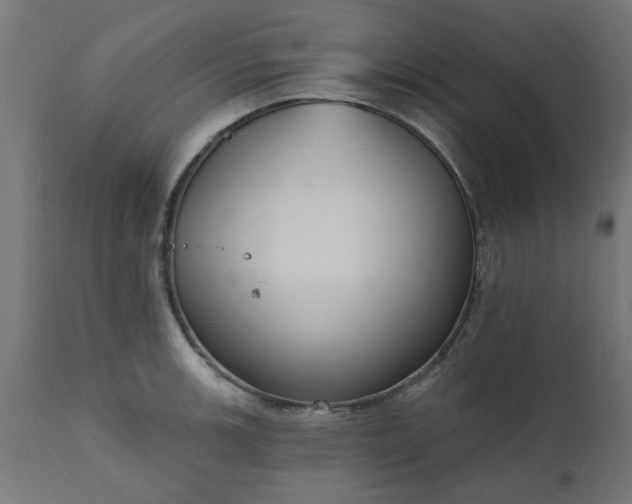 X0000111831139200907301313