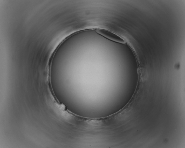 X0000111831140200907301314