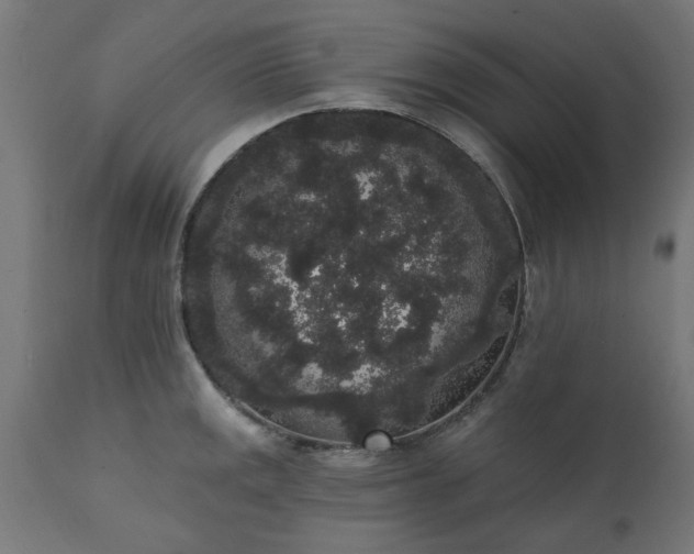 X0000111831141200907301314