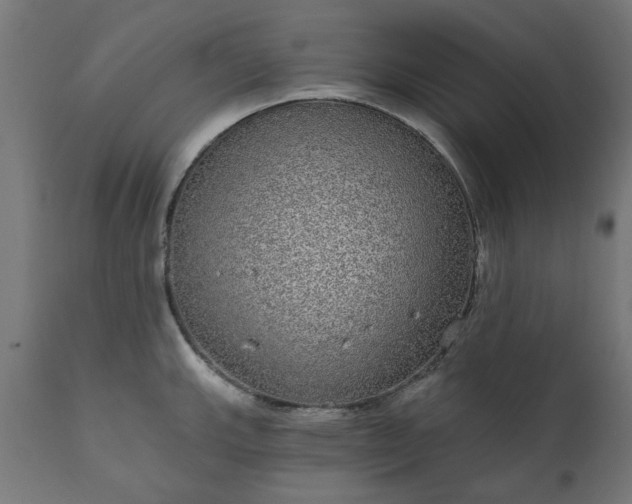 X0000111831143200907301314