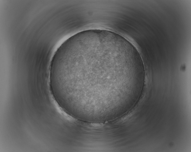 X0000111831144200907301314