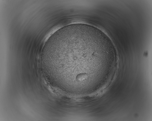 X0000111831145200907301314