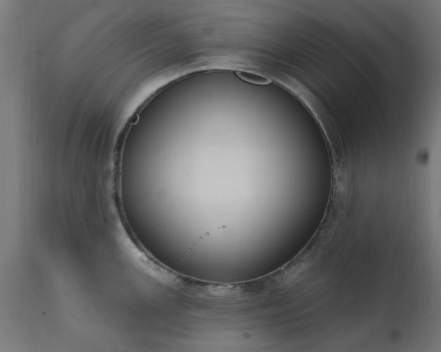 X0000111831147200907301314