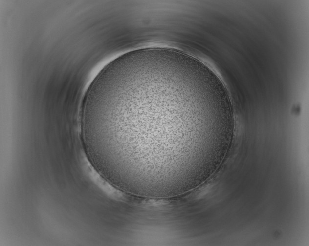 X0000111831148200907301314