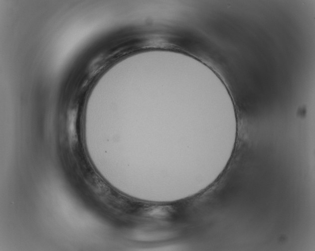 X0000111831150200907301314