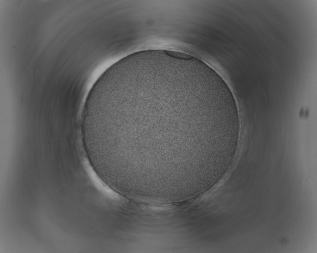 X0000111831152200907301314