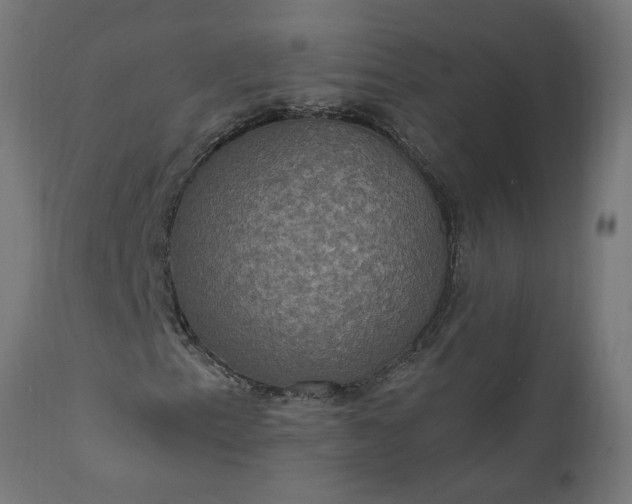 X0000111831153200907301313