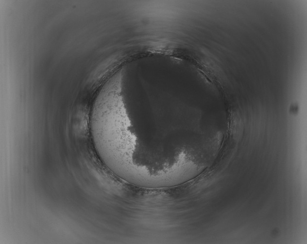 X0000111831154200907301313