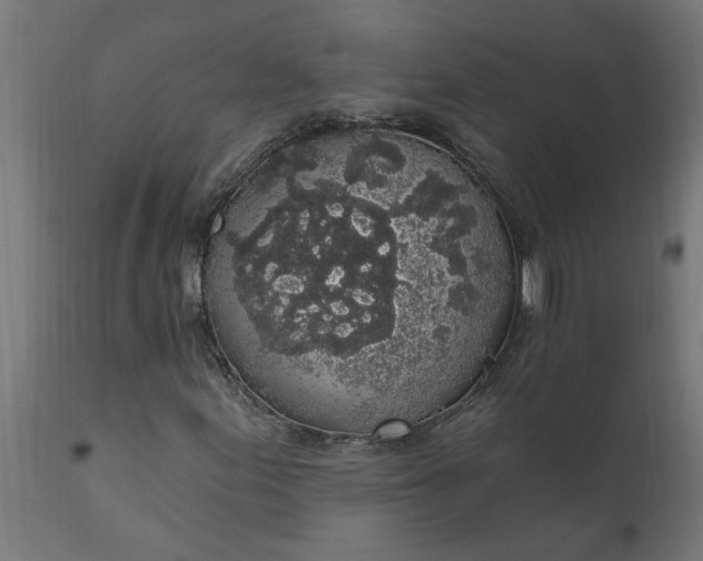 X0000111831155200907301313