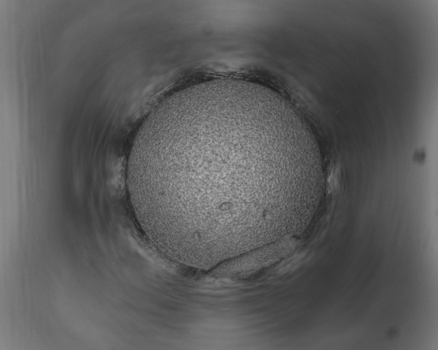 X0000111831156200907301313