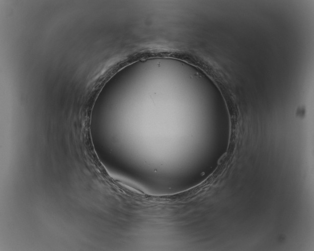X0000111831157200907301313