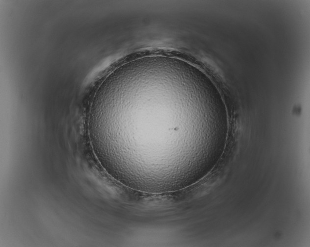 X0000111831159200907301313