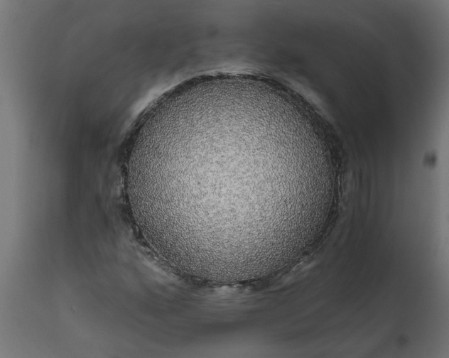X0000111831160200907301313