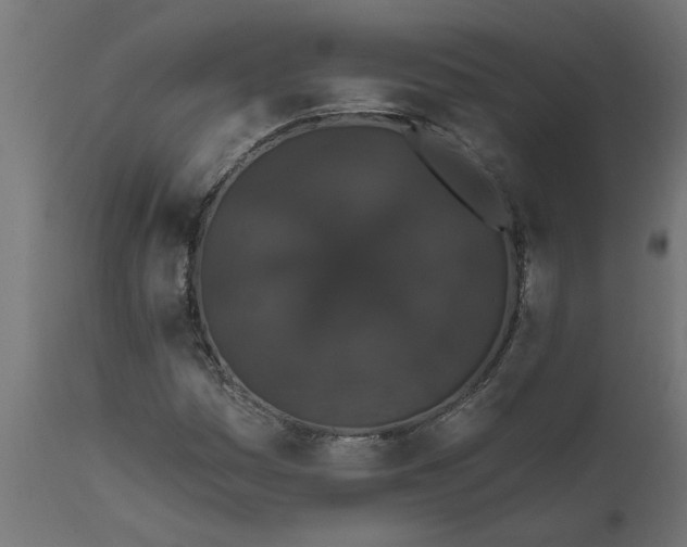 X0000111831161200907301313