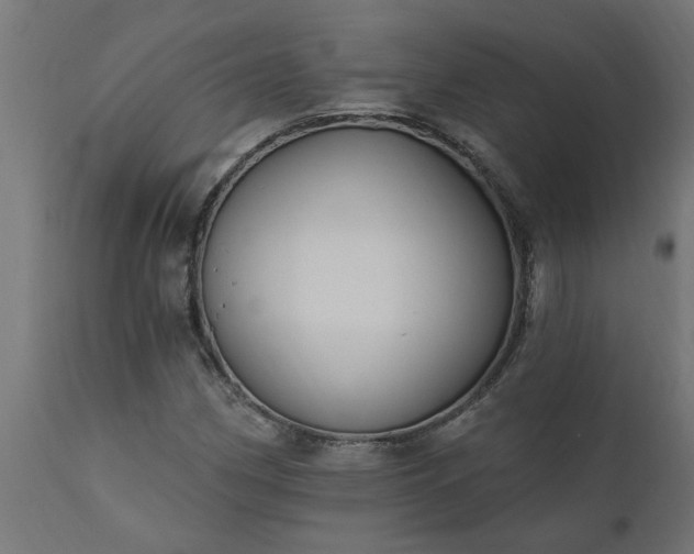 X0000111831162200907301313