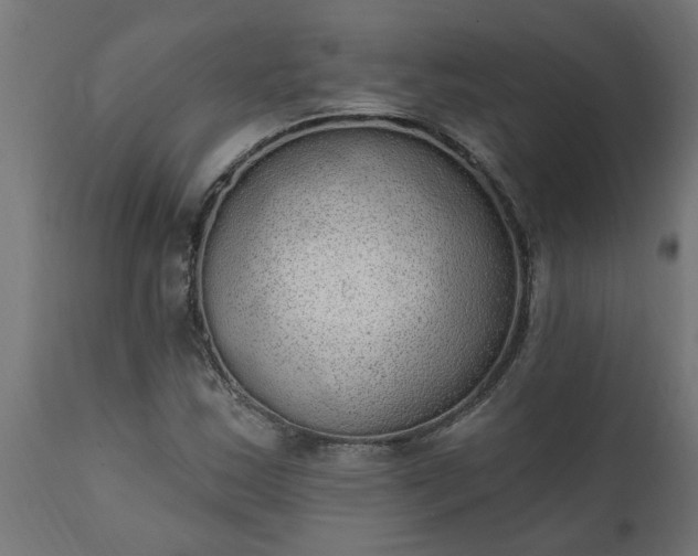 X0000111831163200907301313