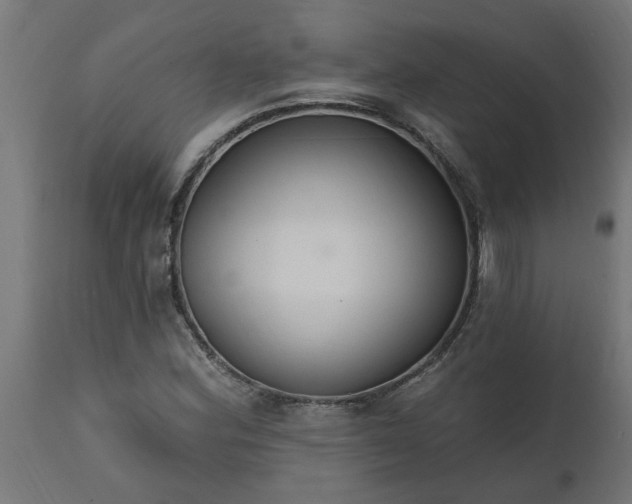 X0000111831164200907301313