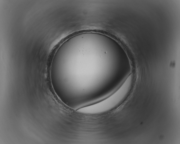 X0000111831165200907301313