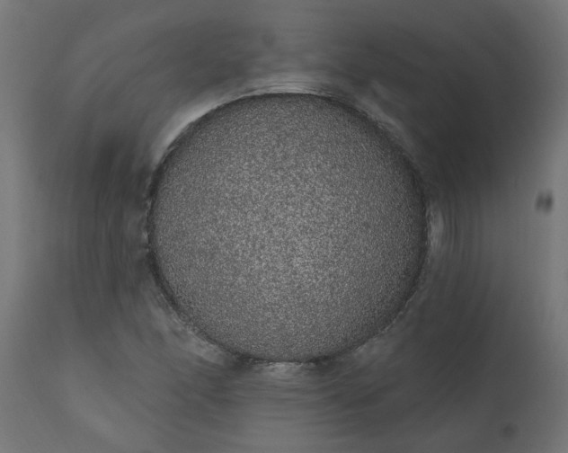 X0000111831166200907301313