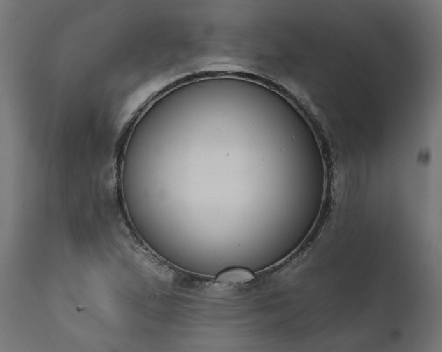 X0000111831167200907301313