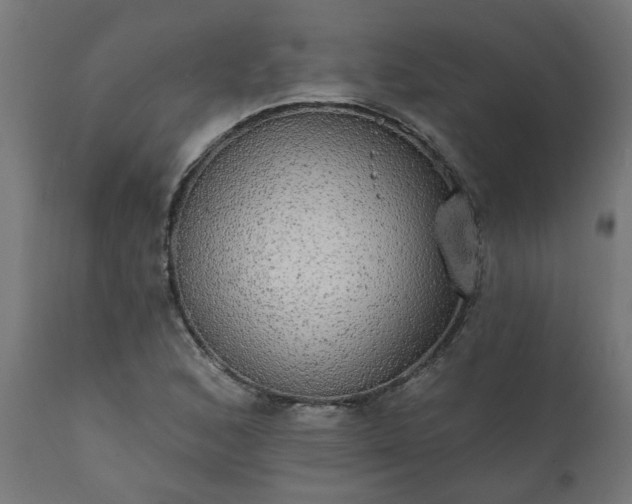 X0000111831168200907301313