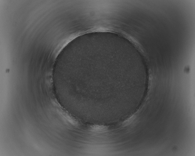 X0000111831170200907301313