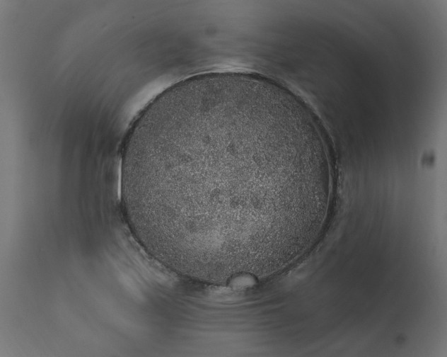X0000111831171200907301313